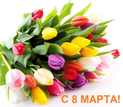 Поздравление Главы города Кургана Е.В. Ситниковой с наступающим праздником 8 Марта.